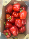 Fresh red bell peppers in a cardboard box