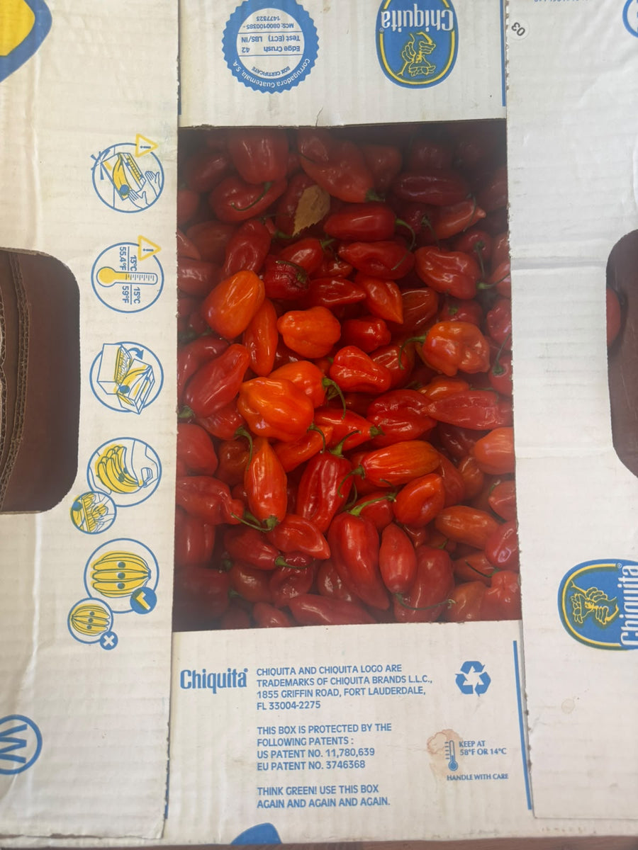 Red habanero peppers half box approximately 25lb