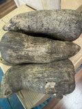 Fresh whole yam tubers in a box