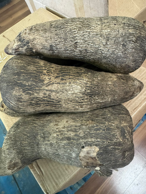 Fresh whole yam tubers in a box