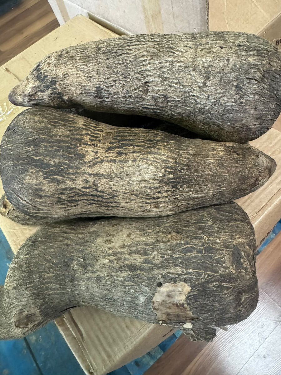 Fresh whole yam tubers in a box